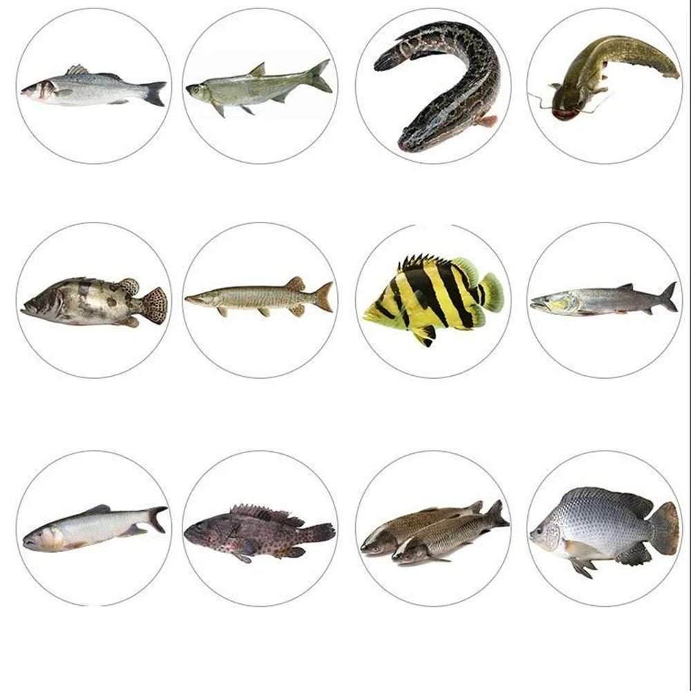 Japanese Minnow Fishing Lure – 95mm, 7g | Floating Hard Bait | Wobbler/Crankbait | Carp & Perch - Cast And Catch