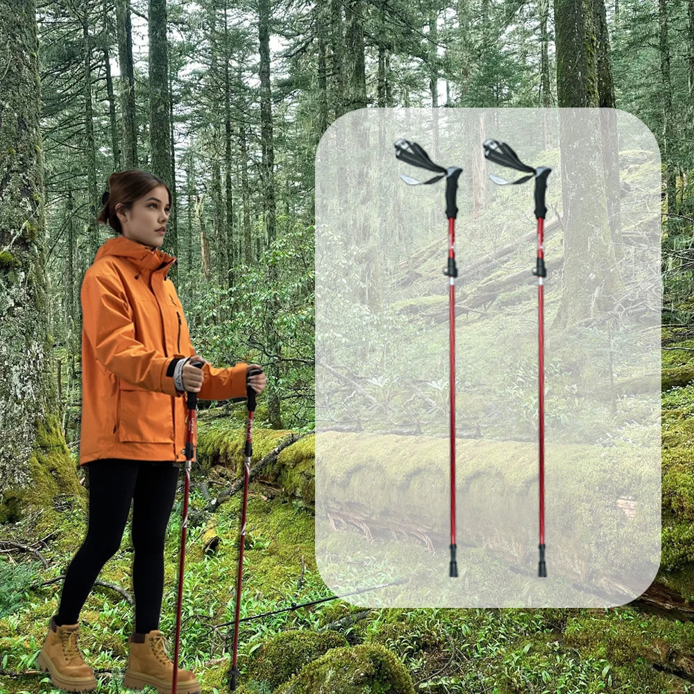 2pcs Hiking/Trekking Poles – Collapsible, Ultralight Folding Walking Sticks | For Men, Women & Seniors - Cast And Catch