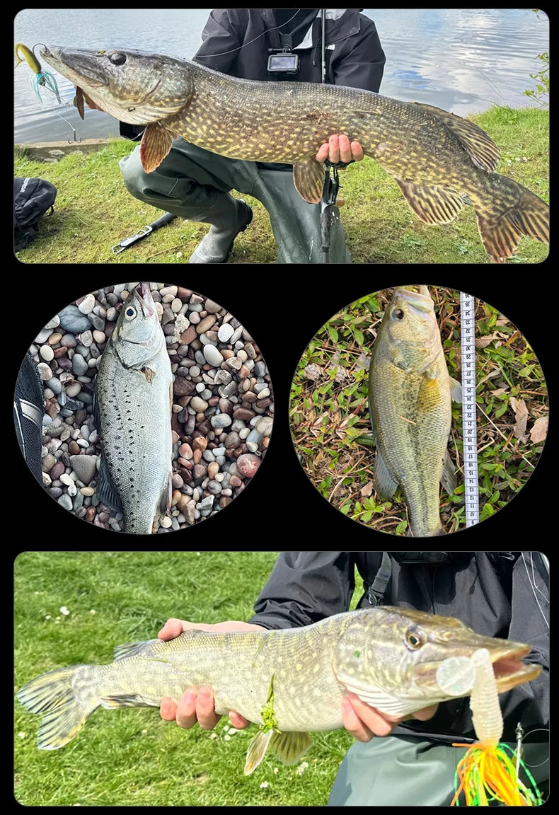 VIKAS Spinning/Casting Rod – Lure Rod | F/XF Action | High Carbon | Fuji Guides & Reel Seat | Bass & Pike - Cast And Catch