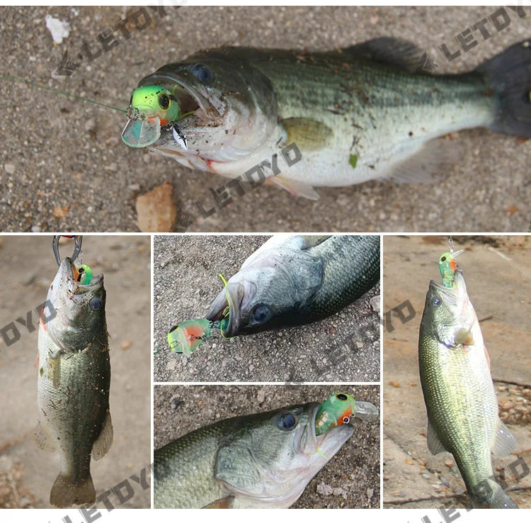 Micro Tappy Fishing Lure – Artificial Hard Bait Crank Wobbler | Tongue Plate Spinning Spoon with Feather | Trout Bait - Cast And Catch